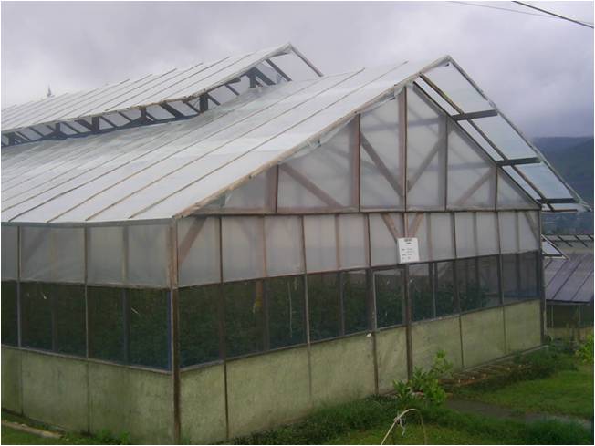 bbppl-greenhouse.jpg